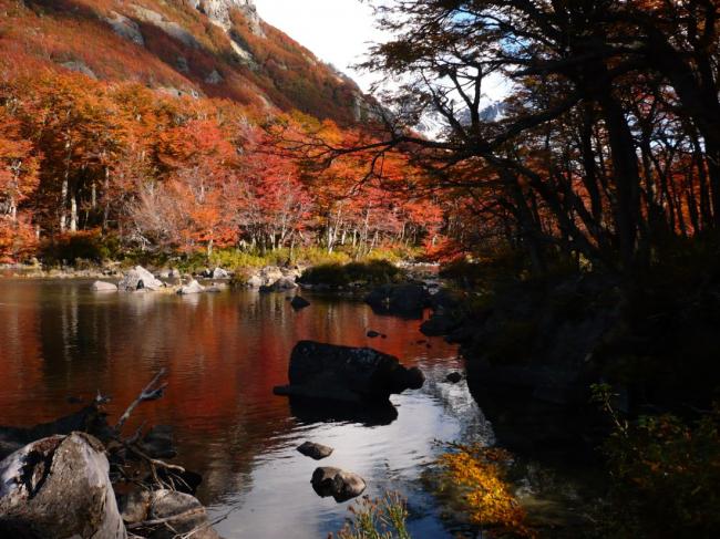 Cuatro caminatas de oto&ntilde;o en Bariloche