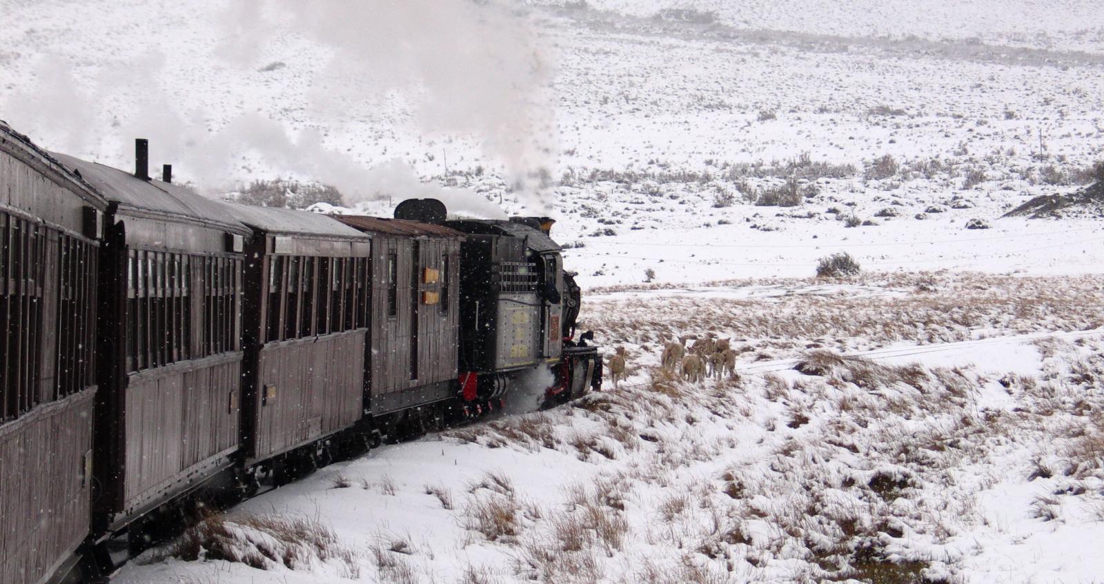 "La Trochita" de Esquel: un viaje en el tiempo que une la ciudad con la estepa