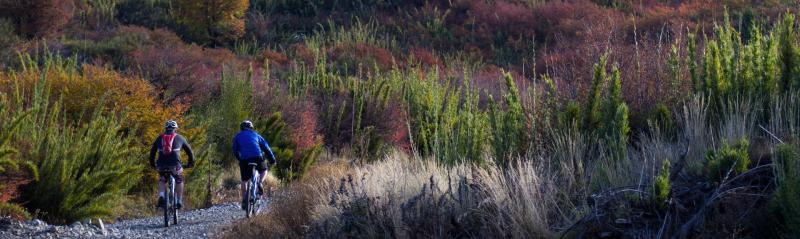 Mountain Bike - Excursiones - Bariloche