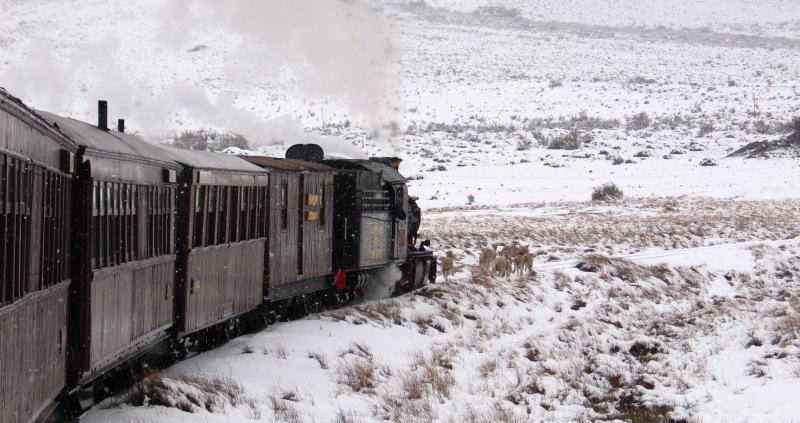 La Trochita de Esquel: un viaje en el tiempo que une la ciudad con la estepa