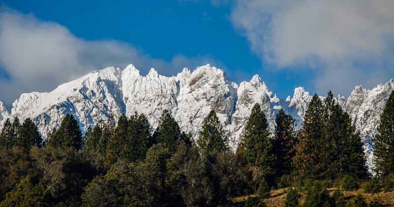 Cerro Piltriquitr&oacute;n y el Bosque tallado