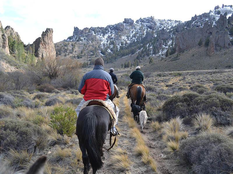 Cabalgatas en Bariloche - Horarios y Precios - Reserv&aacute; por Whatsapp