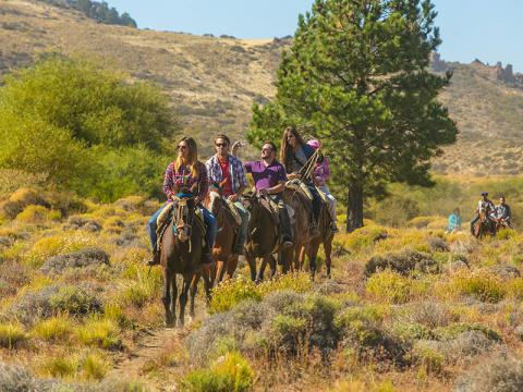 Cabalgatas en Bariloche