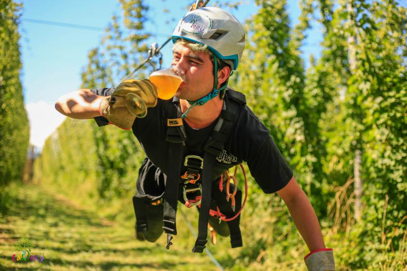  Carnaval Cervecero: Llega una nueva edici&oacute;n del Festival de la Cosecha del L&uacute;pulo y el concurso Mejor IPA de Sudam&eacute;rica