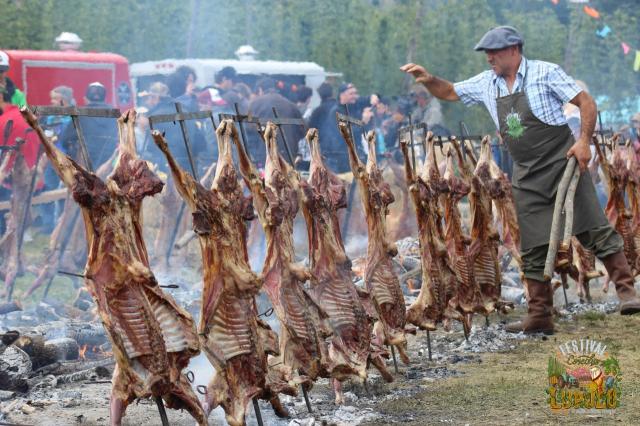 Festival de la Cosecha del Lpulo