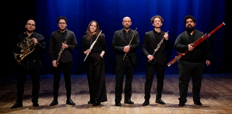  Ensamble Viento Sur