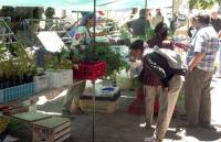  Feria Franca de Horticultores Nahuel Huapi: un espacio para el desarrollo de la agricultura familiar y el consumo natural.