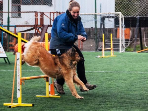 Primera competencia de Agility en Rio Negro