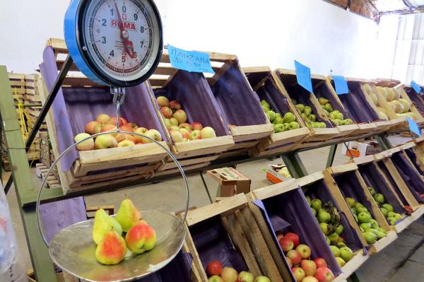 Productos de Choele Choel y El Bols&oacute;n en el Mercado Comunitario