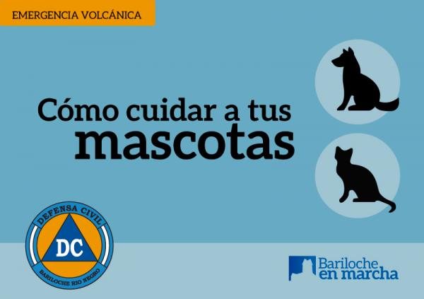 Recomendaciones para el cuidado de las mascotas durante la emergencia volc&aacute;nica