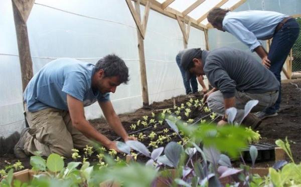 Convocan a taller de huertas saludables en el Centro C&iacute;vico