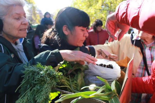 Exitoso cierre de la temporada 2017 de la Feria Franca de Horticultores 