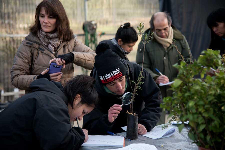 El Jard&iacute;n Bot&aacute;nico con manos del Argentina Trabaja