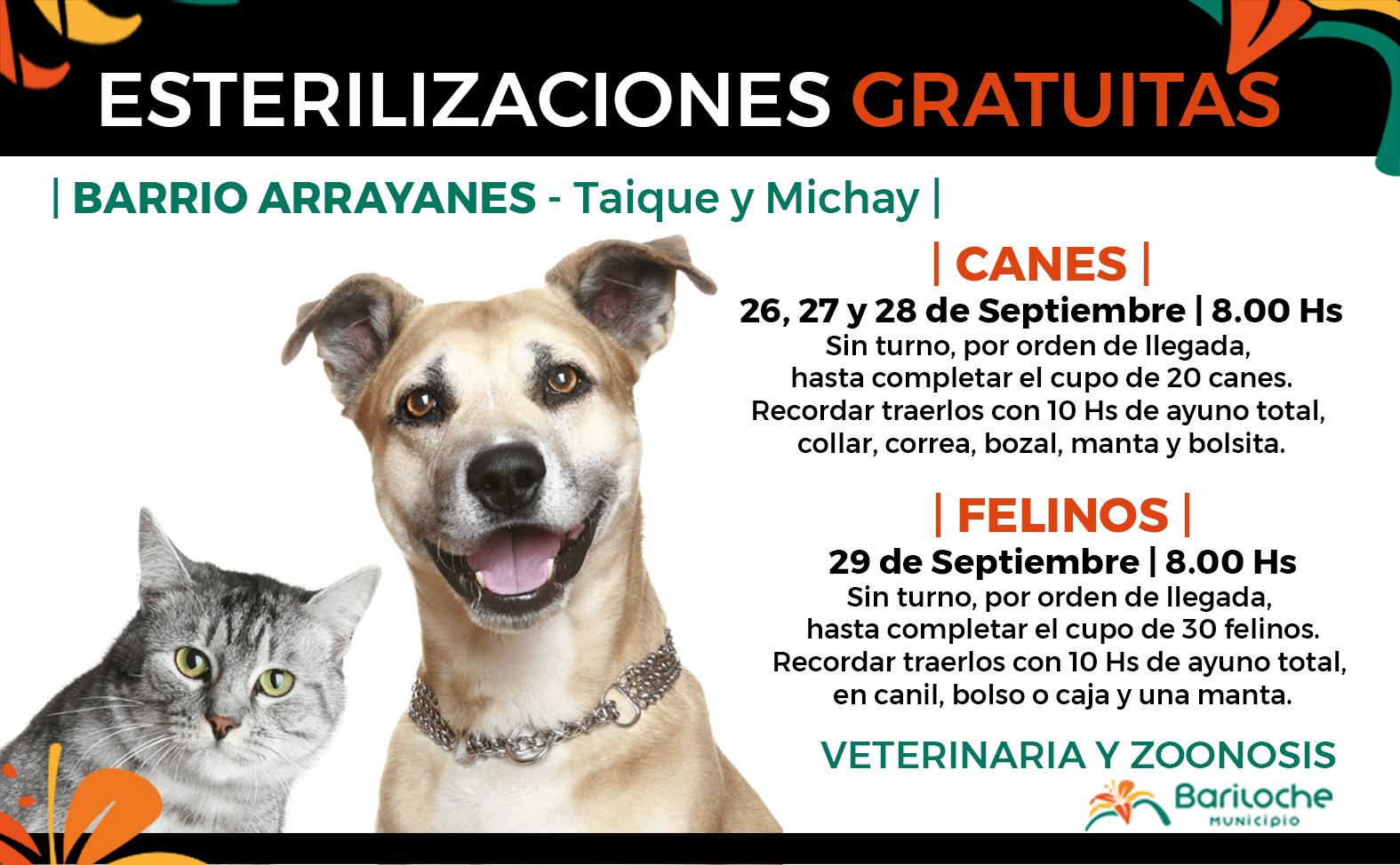 Recuerdan cronograma semanal de esterilizaci&oacute;n gratuita de Veterinaria y Zoonosis