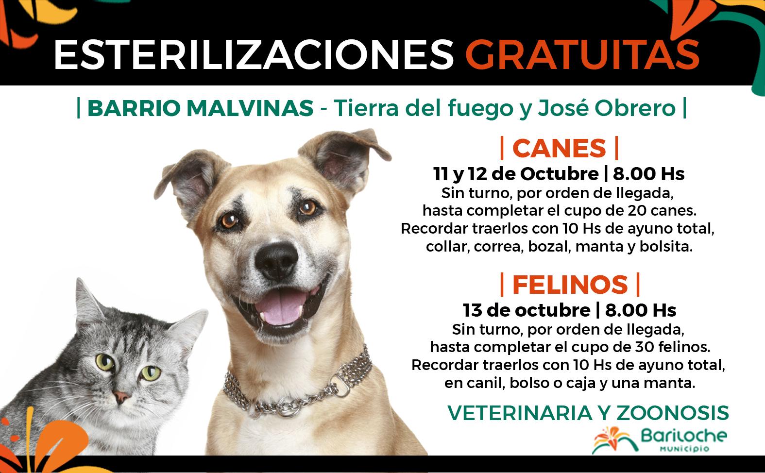 Cronograma de esterilizaciones de canes y felinos 