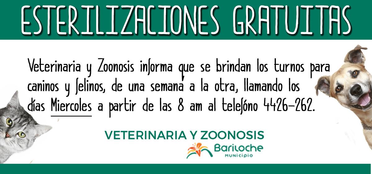 Cronograma de la campa&ntilde;a de esterilizaci&oacute;n del 21 al 24 de noviembre