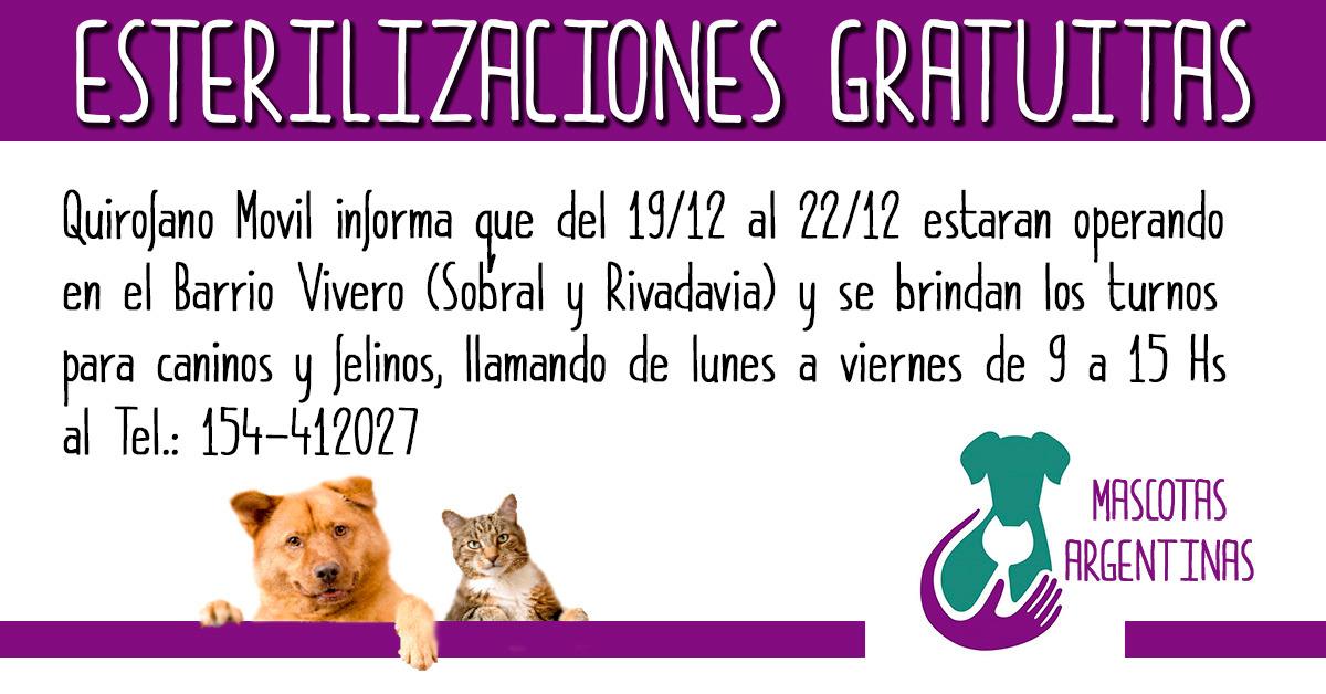 Cronograma de campa&ntilde;a de esterilizaci&oacute;n gratuita 