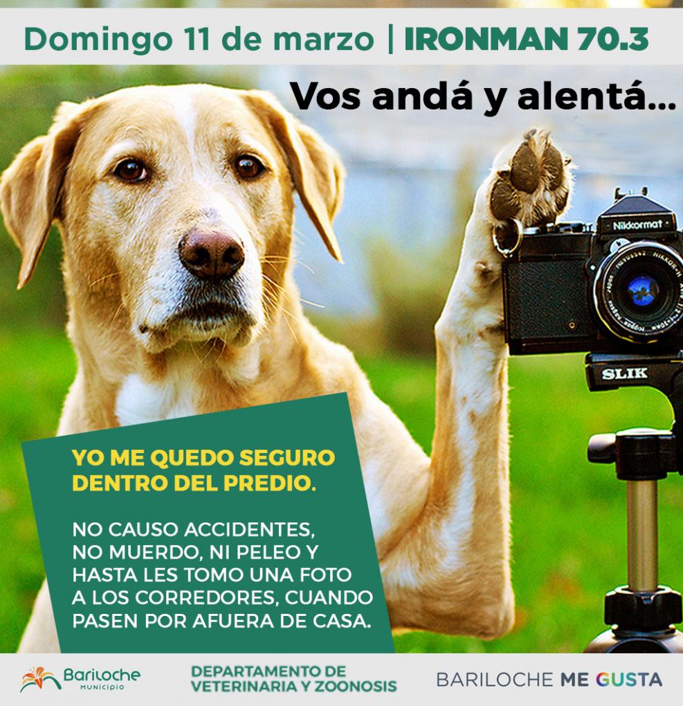 Veterinaria y Zoonosis previene ante la realizaci&oacute;n del IRONMAN 70.3