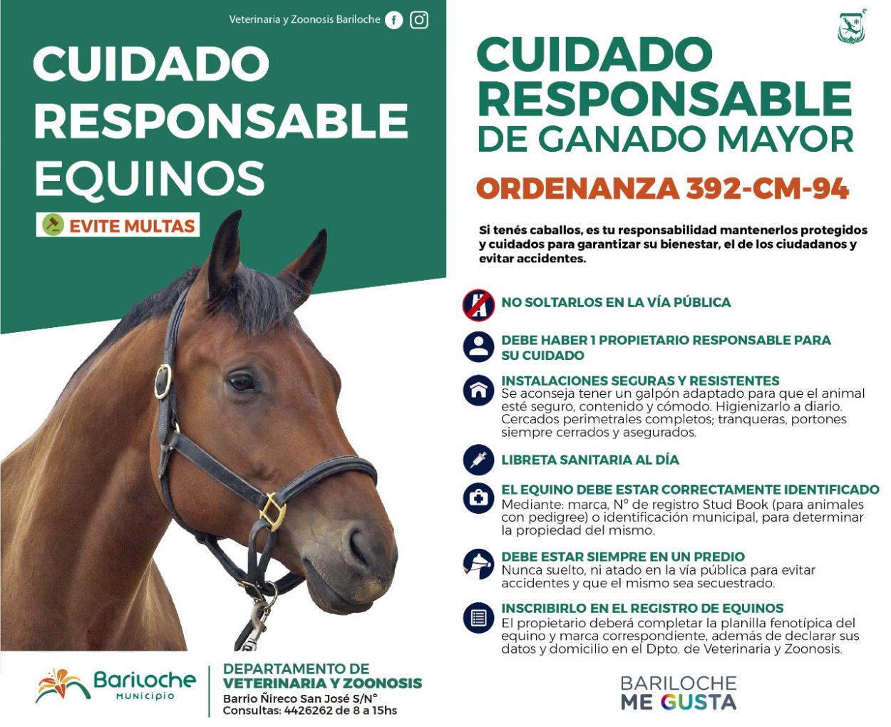 Recuerdan normativa de tenencia responsable de ganado mayor