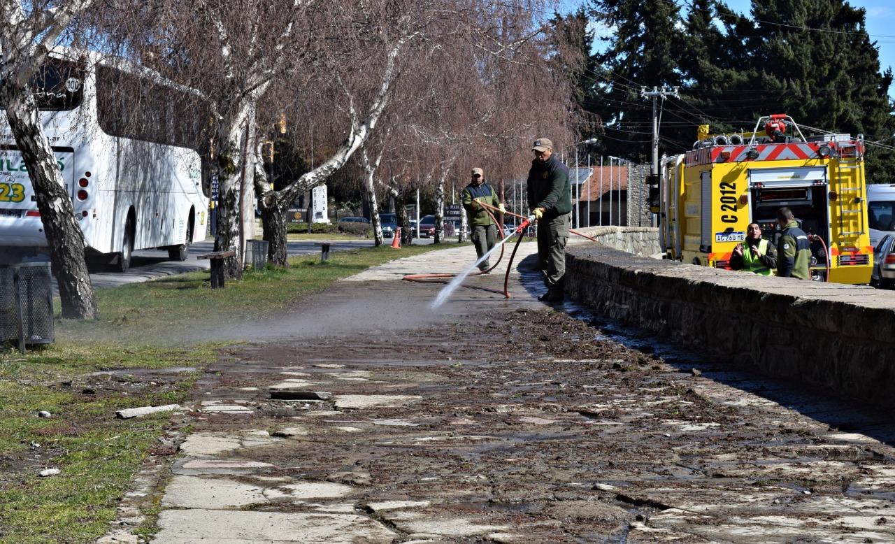 Limpian veredas de Costanera