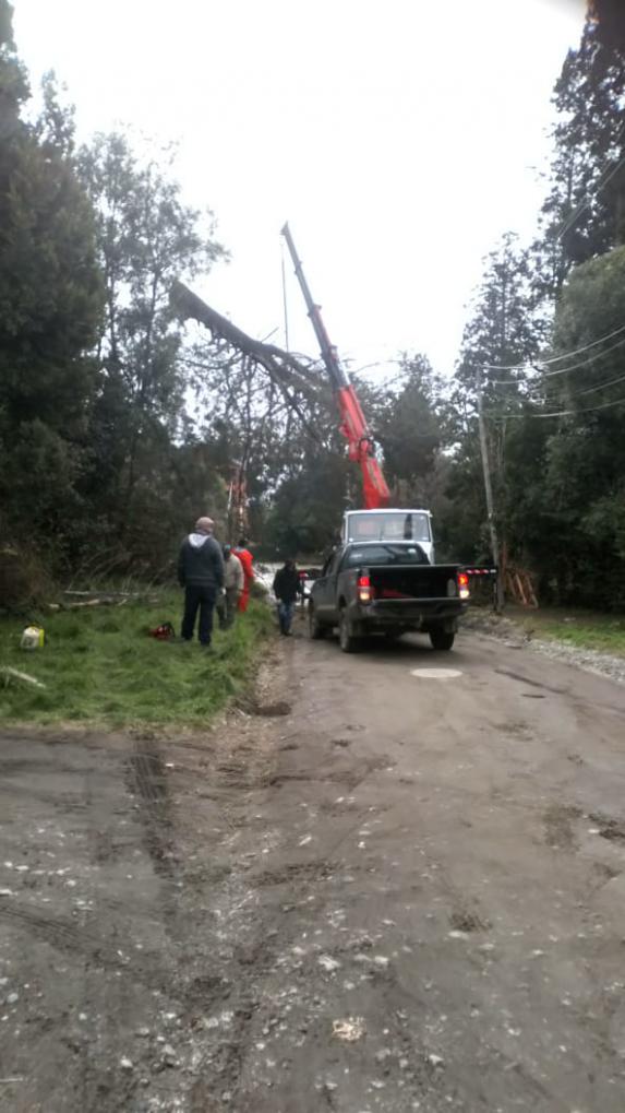 &Aacute;reas municipales trabajan en conjunto ante los fuertes vientos y lluvia