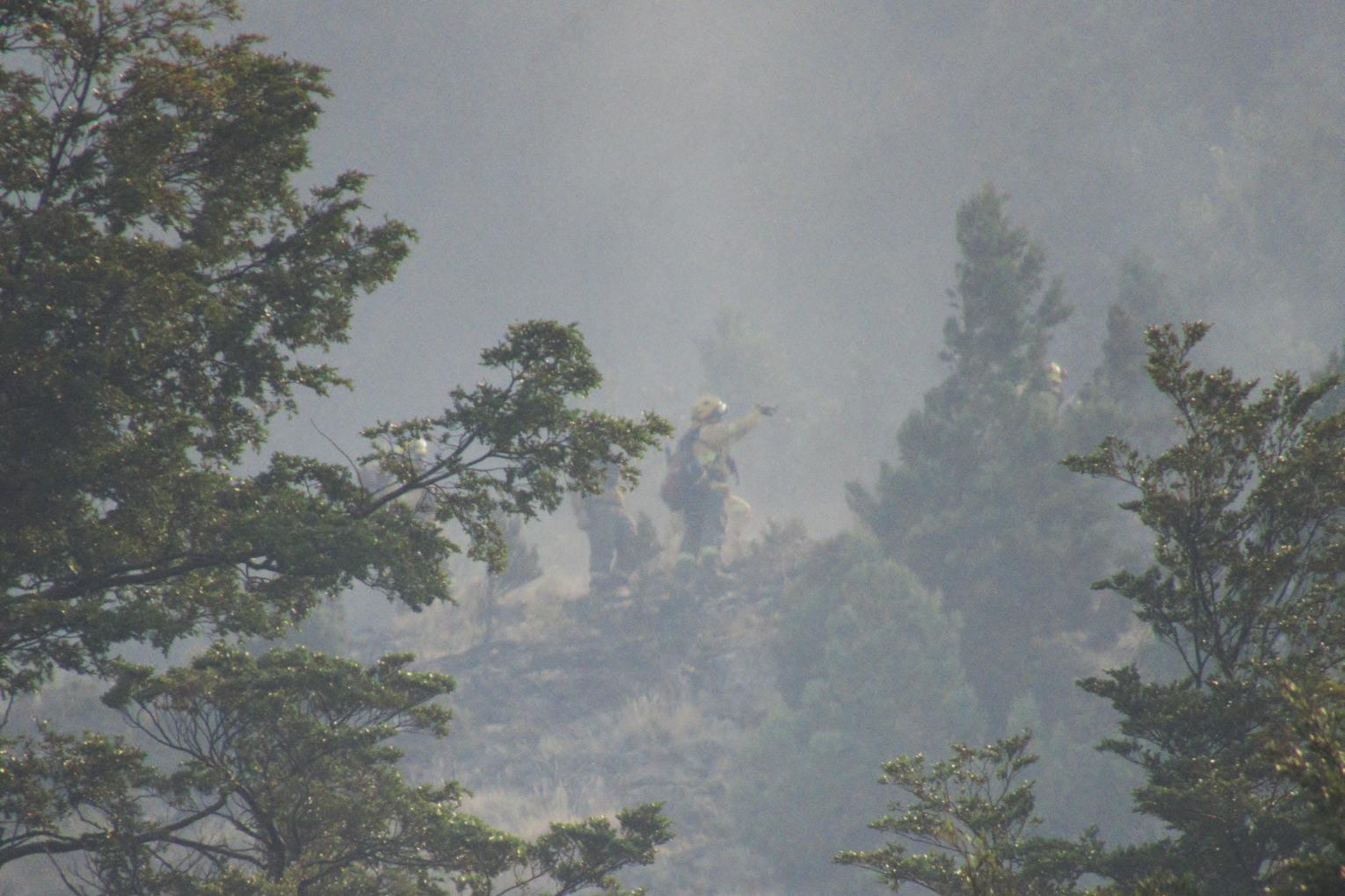  PARQUE NACIONAL LOS ALERCES Contin&uacute;a el combate sin tregua contra m&uacute;ltiples frentes
