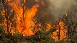 Investigan origen del incendio en Cholila