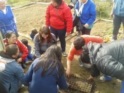 En marzo contin&uacute;an los talleres sobre agricultura urbana