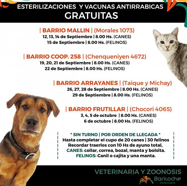 Castraci&oacute;n gratuita de mascotas en los barrios El Mall&iacute;n, Coop. 258, Arrayanes, y Frutillar