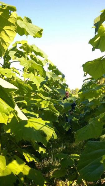 Presentar&aacute;n en R&iacute;o Negro una novedosa propuesta de diversificaci&oacute;n productiva