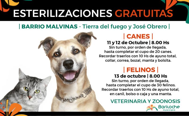 Cronograma de esterilizaciones