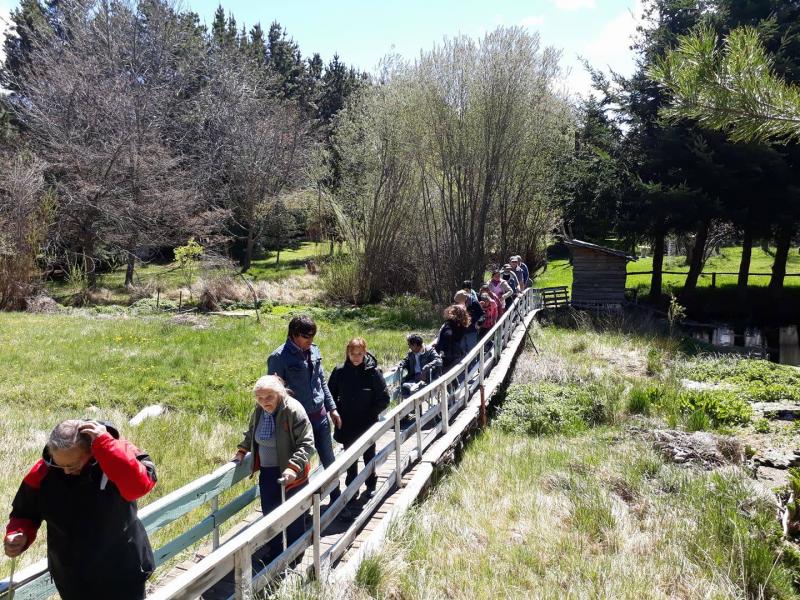 Adultos mayores disfrutaron de un d&iacute;a de recreaci&oacute;n y esparcimiento