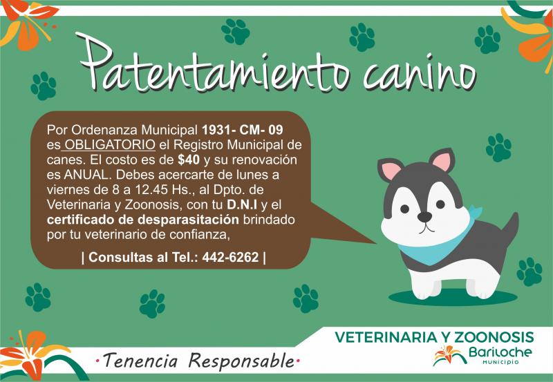 Veterinaria y Zoonosis de la Municipalidad recuerda el Registro y Patentamiento Canino