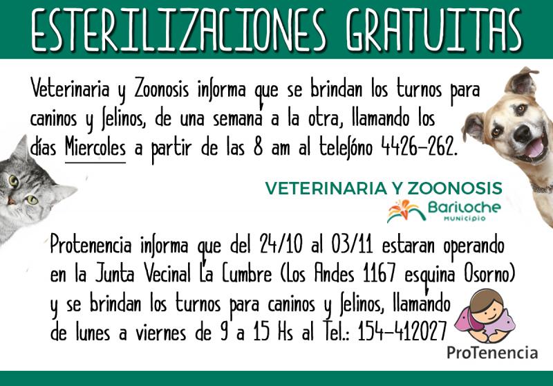 Mascotas Argentinas (ex PROTENENCIA) contin&uacute;a esterilizando en el B&deg; La Cumbre