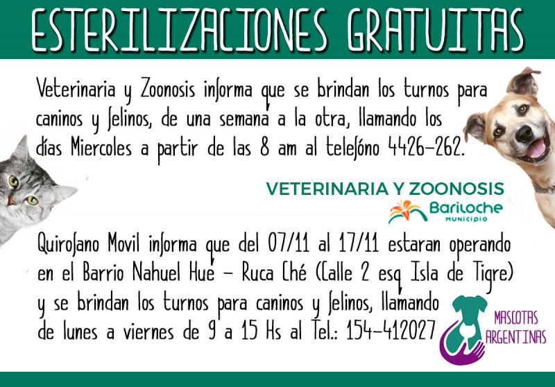 Cronograma de la campa&ntilde;a de esterilizaci&oacute;n hasta el 17 de noviembre