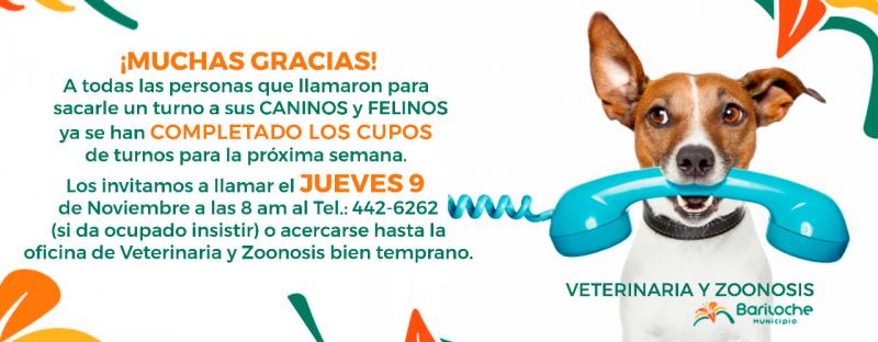 Recuerdan cambio de d&iacute;a para turnos de operaciones en Veterinaria y Zoonosis
