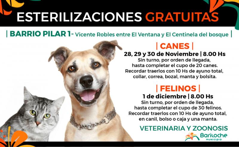 Recuerdan campa&ntilde;a de esterilizaci&oacute;n canina y felina gratuita en barrio Pilar I