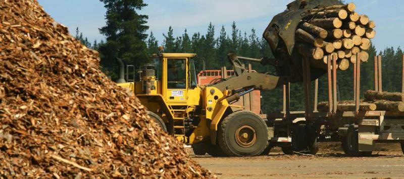 Propuesta para los residuos forestales por el OCBD