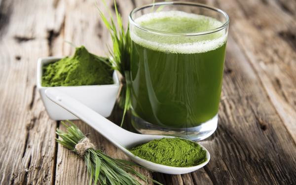 Hierba de trigo o Wheatgrass, &iquest;qu&eacute; es?