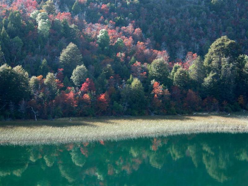 Lindo como Bariloche en oto&ntilde;o !