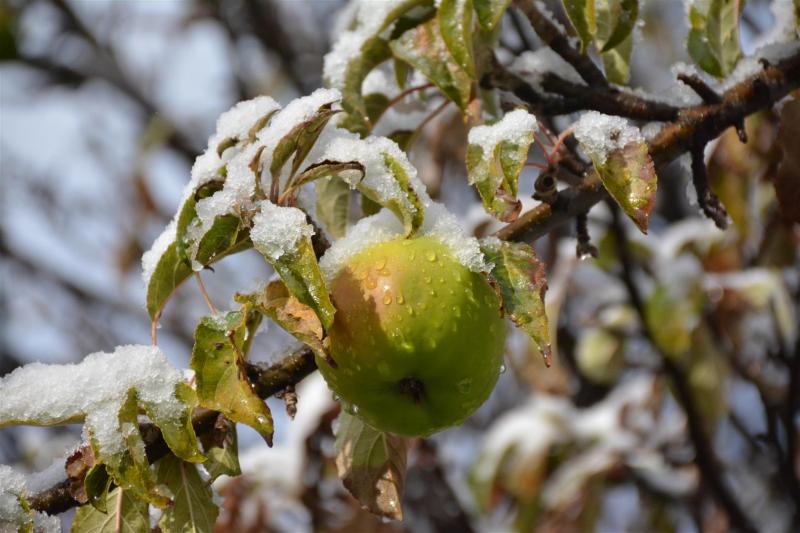 Primer nevada de oto&ntilde;o