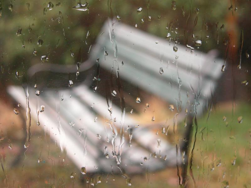 Bienvenida la lluvia !