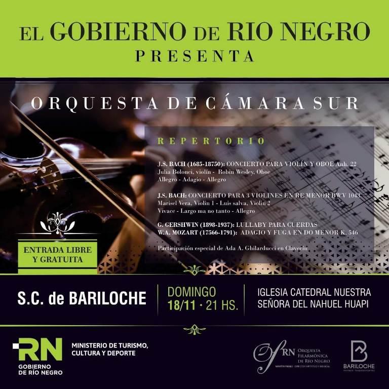 ORQUESTA DE C&Aacute;MARA SUR