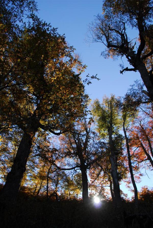 Oto&ntilde;o ideal - Bariloche