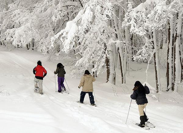 Centro de Esqu&iacute; N&oacute;rdico: ven&iacute; a vivir un invierno como nunca - Bariloche 