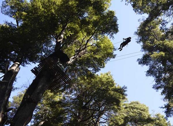 Volar en el L&oacute;pez