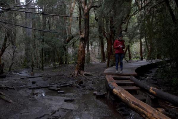 Villa Tacul los senderos m&aacute;s lindos sin excursiones