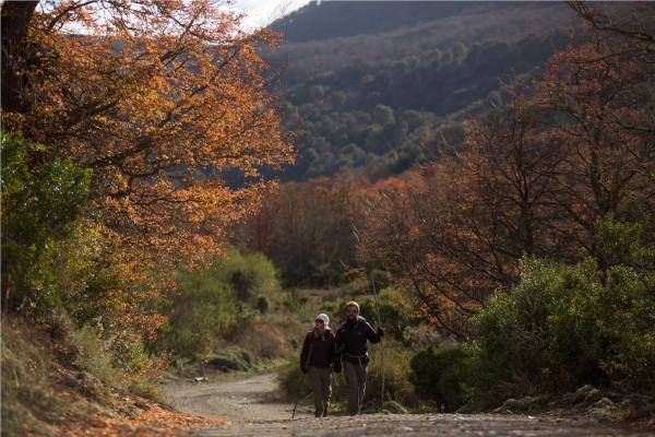 Semana Santa en pleno oto&ntilde;o patag&oacute;nico