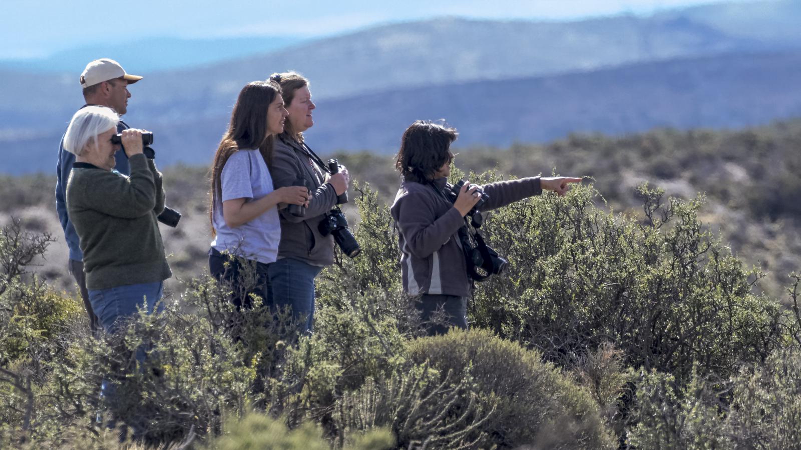 Safaris fotogr&aacute;ficos en Esquel, la naturaleza en vivo