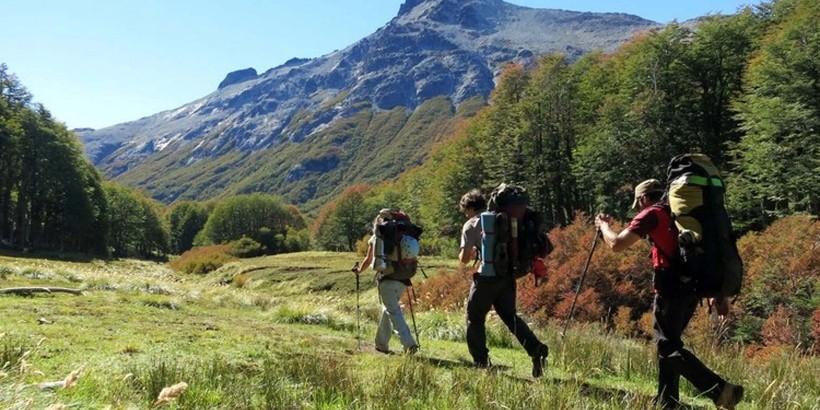 C&oacute;mo prevenir el hantavirus en Bariloche, El Bols&oacute;n y la regi&oacute;n